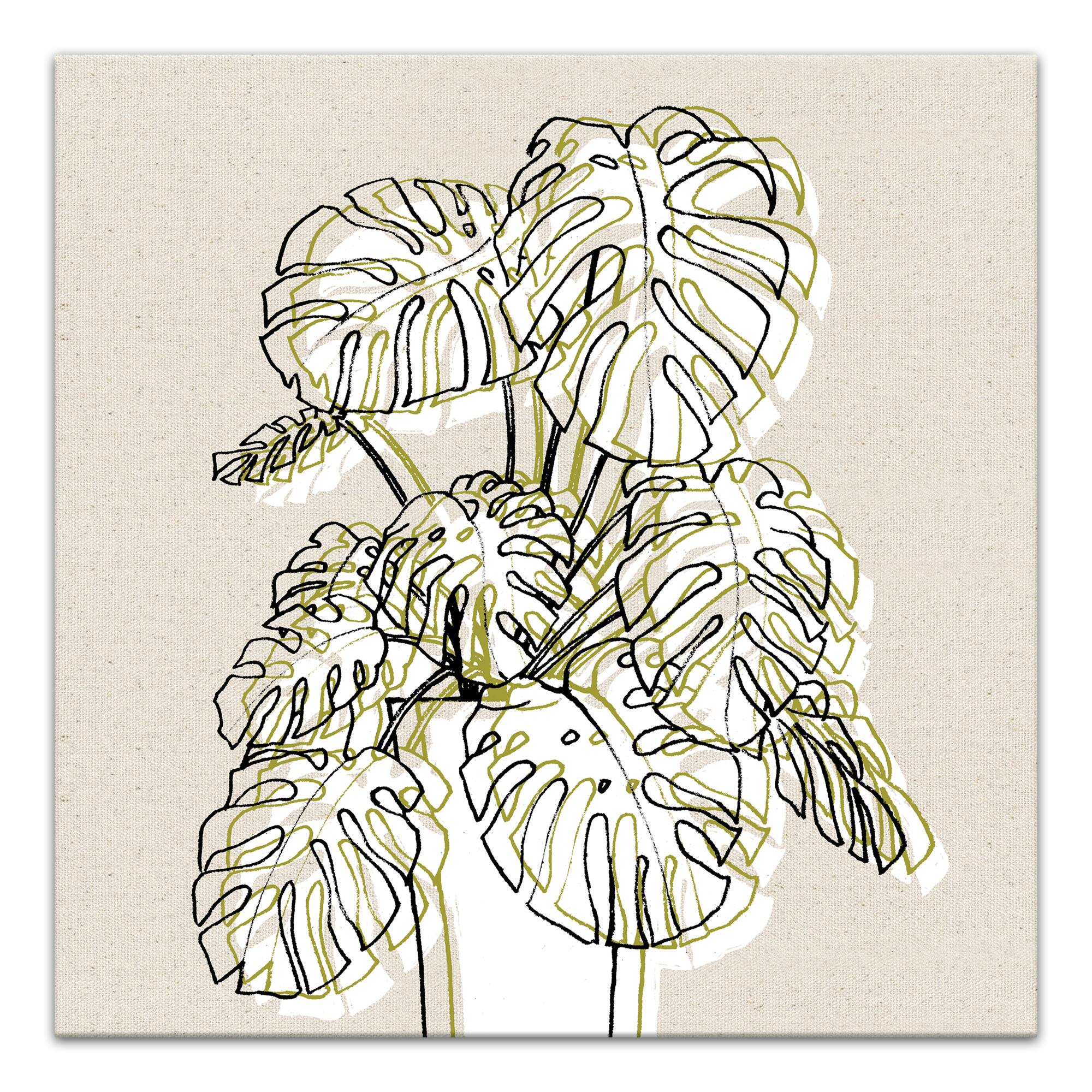 Design Directs Monstera Drawing Canvas Wall Art
